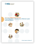 The HCI Group | 5 Tenets of an Effective Cyber Defense System
